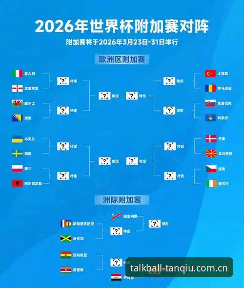 2026世界杯观赛体验深度评测：签证危机如何影响球迷行程？